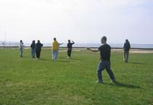 Tai Chi in the Park (May 6, 2006): Several different pockets of Tai Chi take shape during the gatherings break.