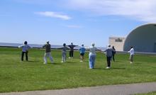 Tai Chi in the Park (May 24, 2008): A picture-perfect morning adds to the beauty of the Tai Chi in the Park favorite Tai Chi Flying.