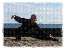 Laoshi Laurince McElroy at Shorefront Park in Patchogue, NY (USA), playing Snake Creeps Down from Water Tiger's Medium-Frame, Yang-Style T'ai Chi form.