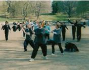 World T'ai Chi & Qigong Day  Central Park (April 19, 2003): The Water Tiger School contingent, (L to R) Matt Kintzel, McElroy Laoshi, and Patricia Hsieh, playing Grasp Sparrow's Tail to the Four Cardinal Directions in the massive group demonstration at 10 AM in the East Meadow of Manhattan's Central Park.