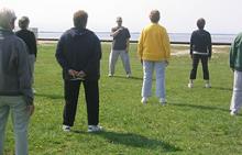 Tai Chi in the Park (May 6, 2006): Laoshi Laurince McElroy discussing the concept of Wu-wei (no action) in stance and form play. He uses one of his favorite examples of just enough action by talking about the fact if a mosquito were to land on us and we made no adjustment, the weight would be enough to knock us over.