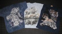 In the Office (November 4, 2016): A number of McElroy Laoshi's public class  t-shirts feature white tigers. He wants to make sure no one thinks he or Water Tiger supports the breeding of white tigers. Here are the facts, courtesy of Wildcat Sanctuary:
* White tigers are not a separate subspecies. They're not Royal White Tigers. They're not Snow Tigers. They're not albinos. They're simply tigers born with white fur. 
* White fur is a very rare genetic mutation occurring in the wild possibly in as few as one in 10,000 wild tiger births.
* The average number of cubs born to get one healthy white tiger cub to exhibit is one in 30. The other 29 cubs can typically be born deformed, considered the wrong color, or die shortly after birth due to genetic defects.
* Captive inbreeding of white tigers results in high neonatal mortality rates, typically exceeding 80%.
* Only 12 white tigers have been confirmed in the wild in over 100 years. The last white tiger was killed in the wild in 1958. There have been no further sightings of white tigers in the wild since.