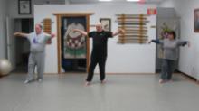In the Studio (February 15, 2018): Although Water Tigers approach to the Five Animal Frolics (Wu Qin Xi) is to play the exercises in a circle, we teach the details of each  like Crane Flying seen here  in linear play.