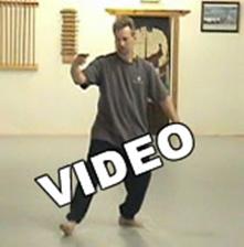 Cablevision's Men's Forum (Gary Costanza, Producer; Autumn 2003): Laoshi Laurince McElroy demonstrates the WTS 24-Posture Form for a popular Long Island talk show. Footage by Mr. Costanza.