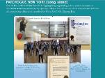Section of World T'ai Chi & Qigong email from Bill Douglas (02/02/2019) that shows a collage containing an image of Laoshi Laurince McElroy, supporting proclamations from Suffolk County Legislature (Long Island, NY USA) and Incorporated Village of Patchogue (Long Island, NY USA), and a Patchogue event photo from 2005 depicting multiple groups of people playing different forms and exercises at an indoor location. Also includes this text: "Patchogue, New York (Long Island) - One of the earliest World Tai Chi & Qigong Day organizing cities, which became a model for events worldwide, by gaining Official Proclamations from mayors and officials of surrounding cities and counties for World Tai Chi & Qigong Day."